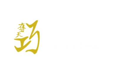 CUHK Robotics Team